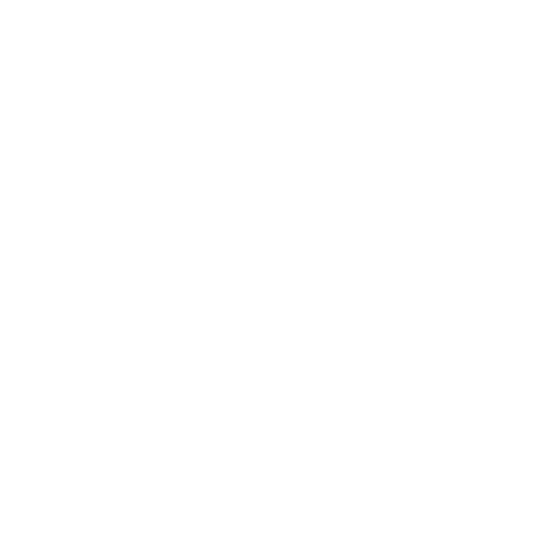 Floriqora Flower Shop logo